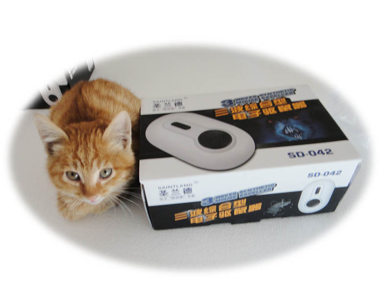 SD-042 COLOUR BOX + CAT