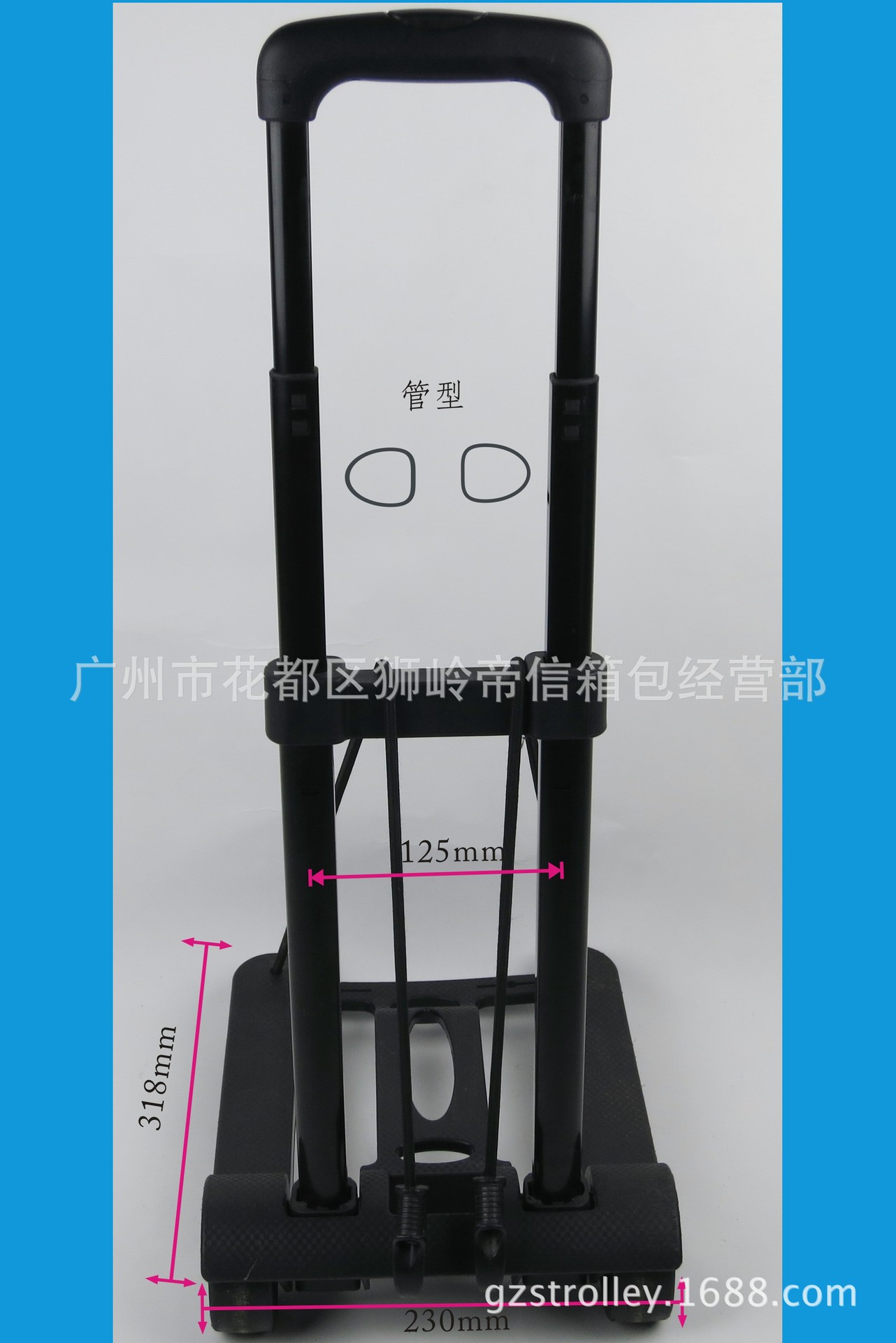 照片 391