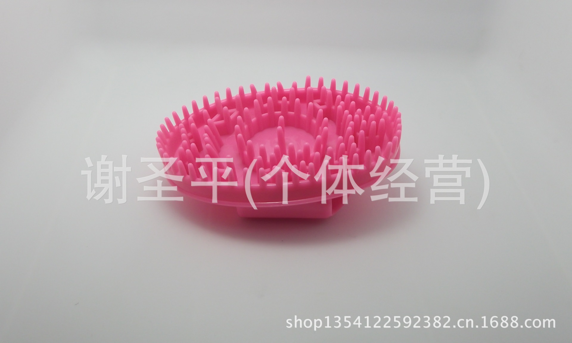 DSCF2837