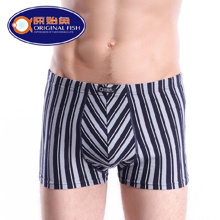 斑马鱼-斑马鱼实验设备\/斑马鱼养殖系统\/斑马鱼