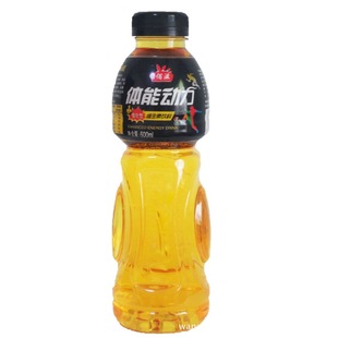 功能饮料-体能动力600ML运动功能饮料 招商代