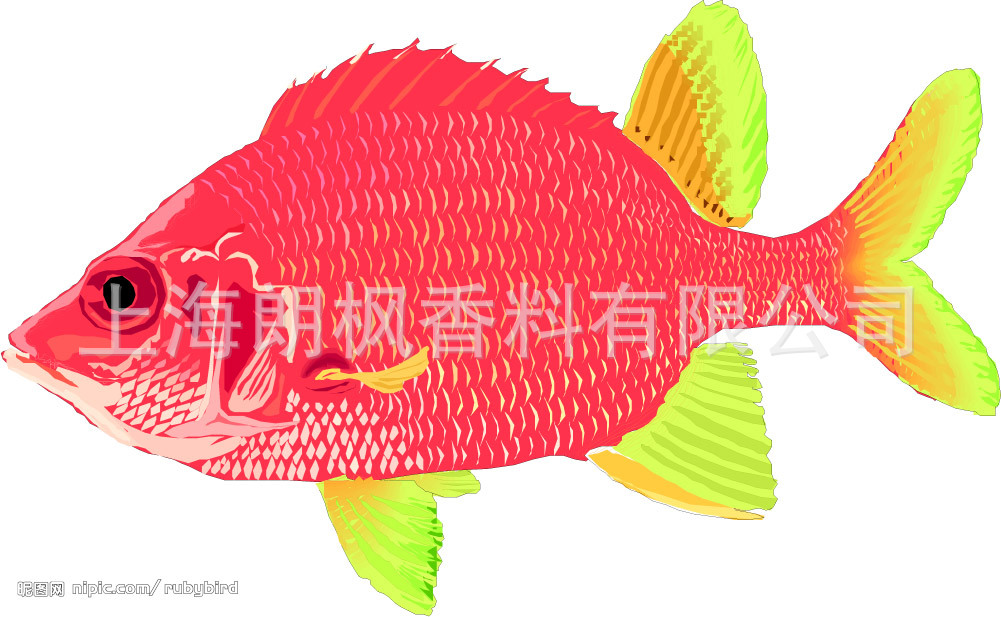 鱼饵1