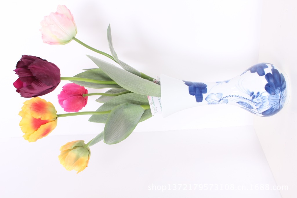 小号鹦鹉郁金香2(Tulip)SJB1398