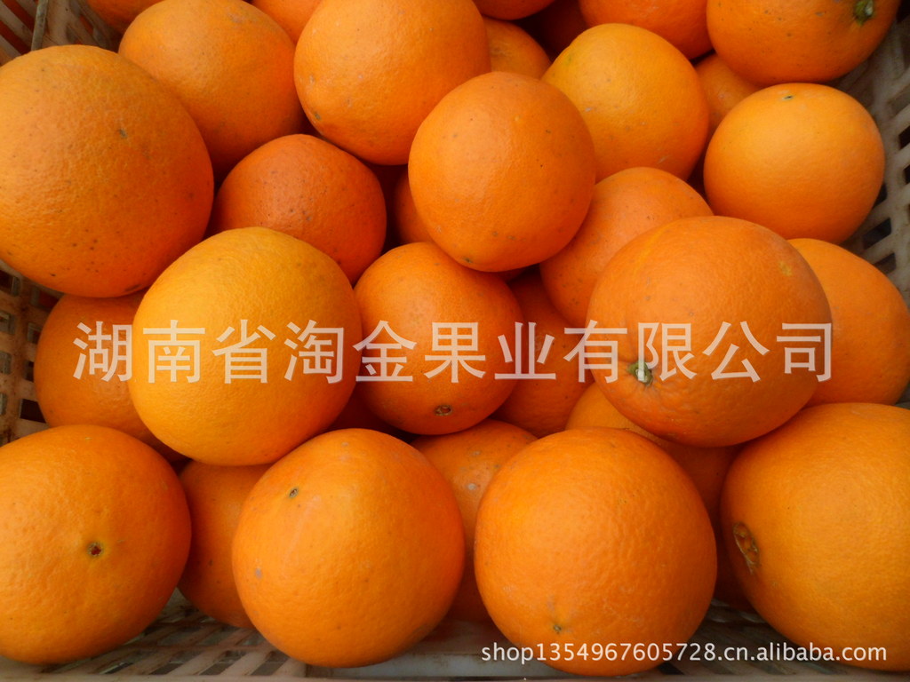 橙子寻找全国代理商 批发商 加盟商 发展共赢图