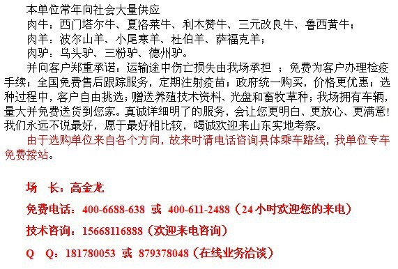 信息