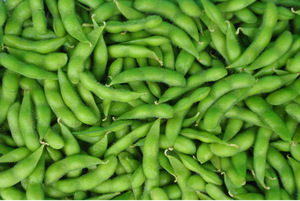 【大毛豆】大毛豆价格\/图片_大毛豆批发\/采购