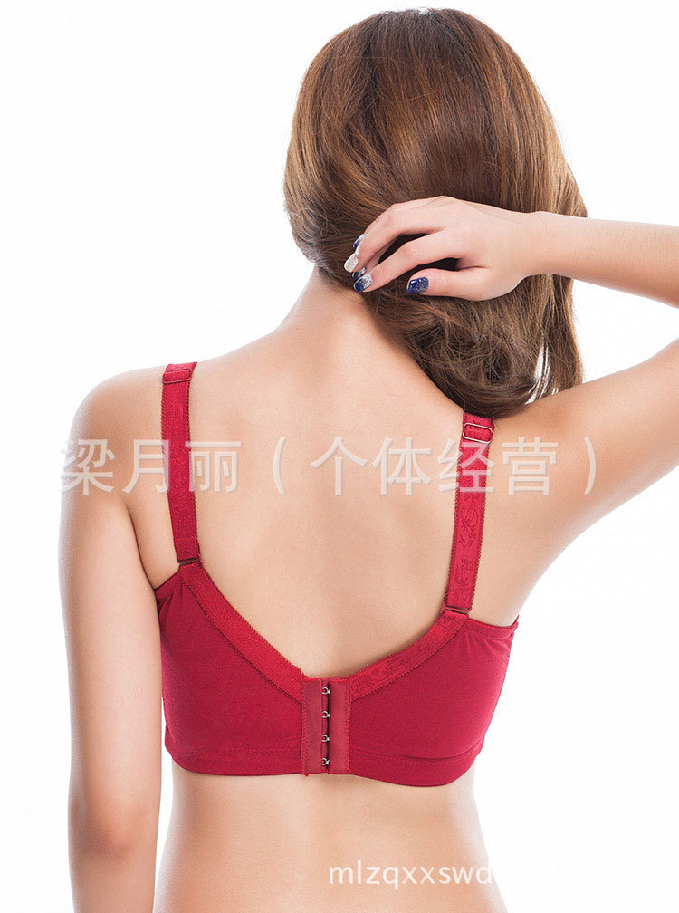 【供应新款磁疗<em>调整型品牌文胸</em> <em>高端侧收</em>聚拢