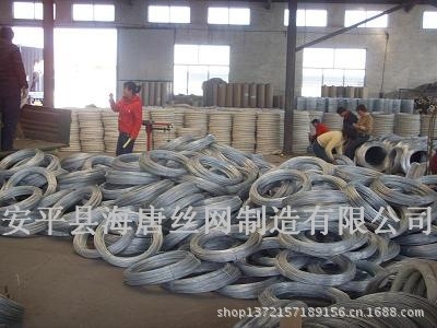 镀锌丝-海唐丝网
