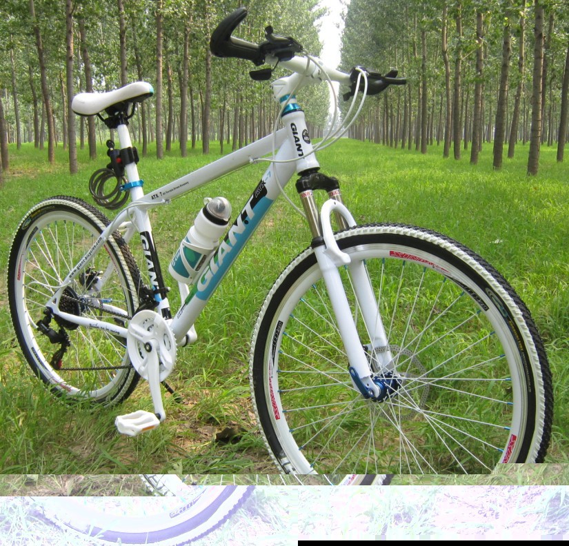 <em>捷安特山地自行车</em> _非常风气网