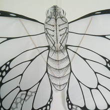 找相似款-潍坊风筝 教育风筝 空白金鱼风筝 涂