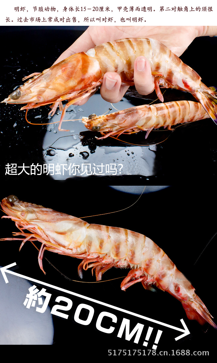 野生大明虾/斑节虾