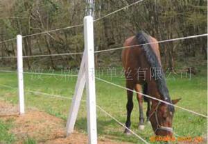 【家禽批发网】家禽批发网价格\/图片_家禽批发