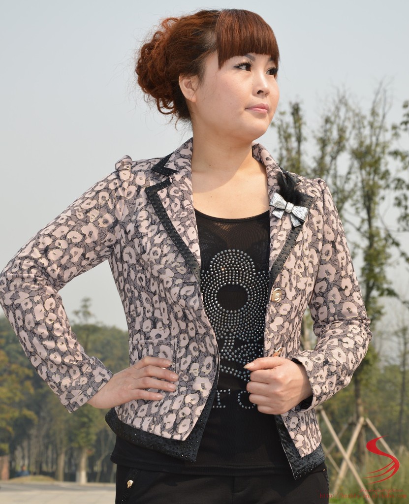 批发采购小西装-2013双红<em>cao</em>春装精品休闲女