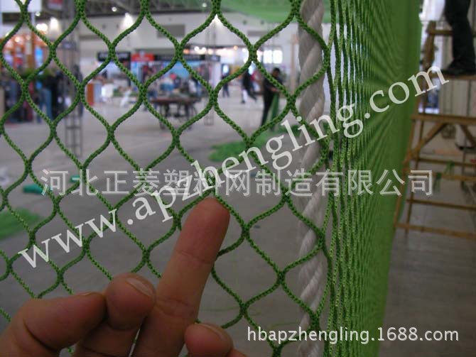 高爾夫球網(wǎng)生產(chǎn)廠家 高爾夫球網(wǎng)批發(fā) 高爾夫球網(wǎng)價格圖片_8