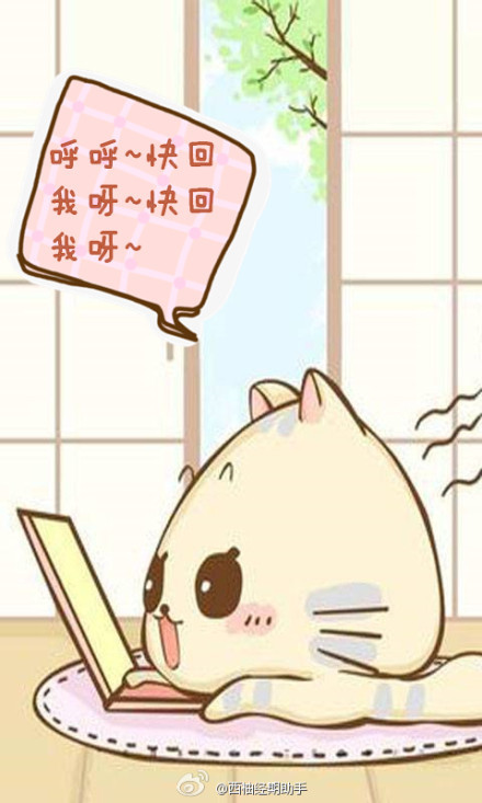 我最喜欢聊天秒回的人了!- - 阿里巴巴商人论坛