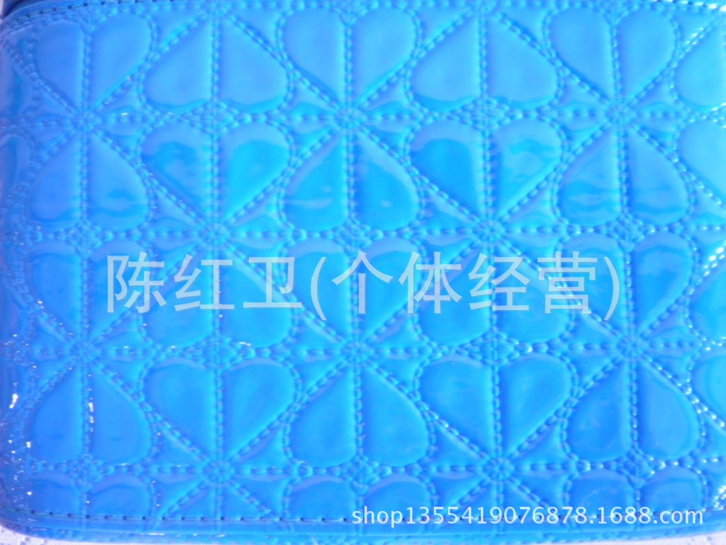 SANY0361