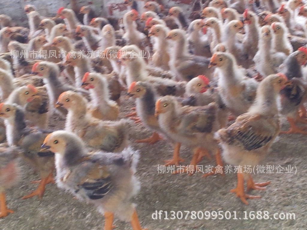 20130716_121211