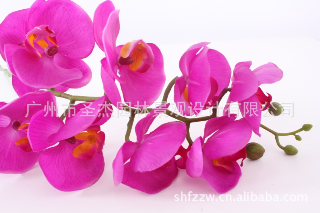 【兰花 仿真花 假花 仿真花批发 小盆栽植物 花