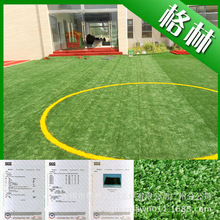 事业草_事业草批发_事业草供应