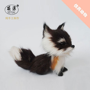 【狐狸 宠物】狐狸 宠物价格\/图片_狐狸 宠物批