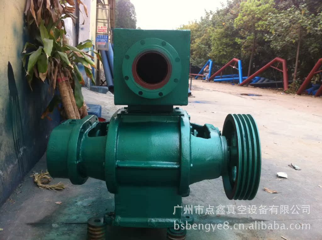 ZBK罗茨真空泵图片 004