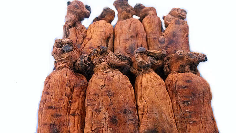 【高丽参 红参 600克10支双芦头黄马褂将军肩