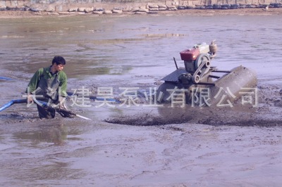 供应优质供应10nl-16鱼塘清淤泥泵 挖机组合泵 岳阳平江 厂价直销