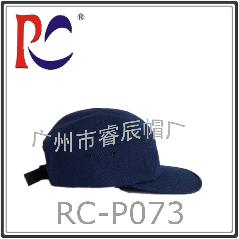 RC-P073-01