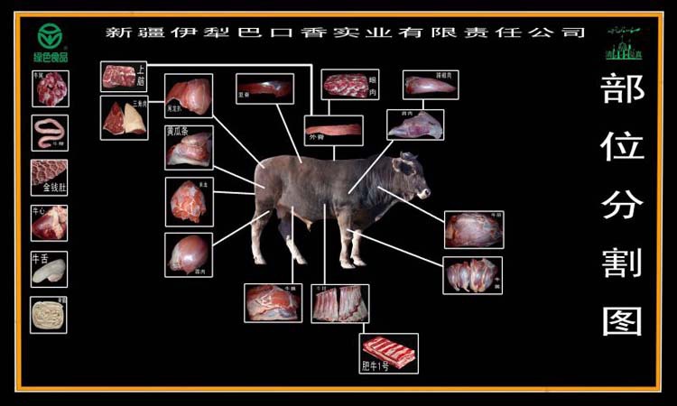 速冻食品-新疆巴口香雪花肥牛-各部位精品牛肉