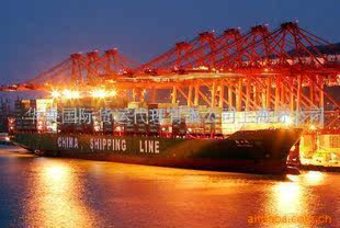 国际海运-上海专业国际海运阳明海运YANGMIN