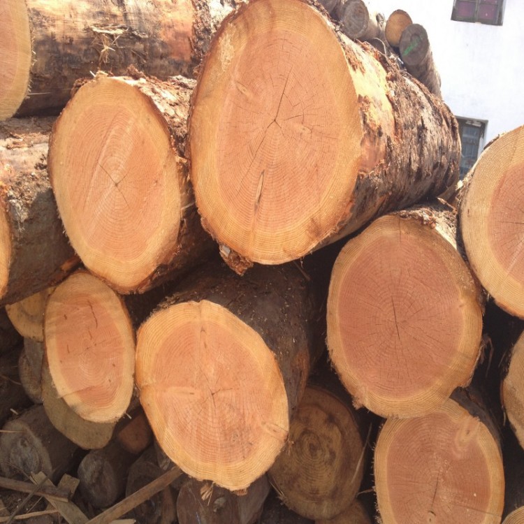 conew_conew_img_0346