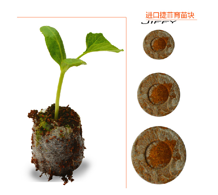 育苗块-采购椰砖,小型播种器,育苗块--阿里巴巴采购平台求购产品详情