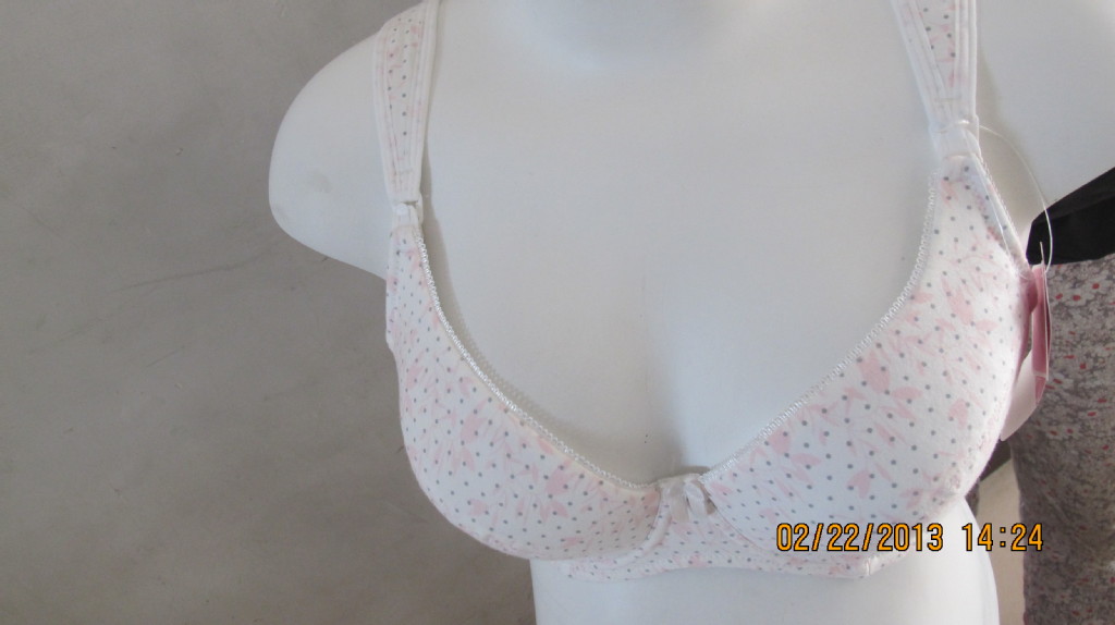 【文胸内裤库存 】库存外码欧码杂款文胸2 1.8