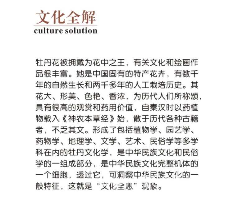 43詳情2