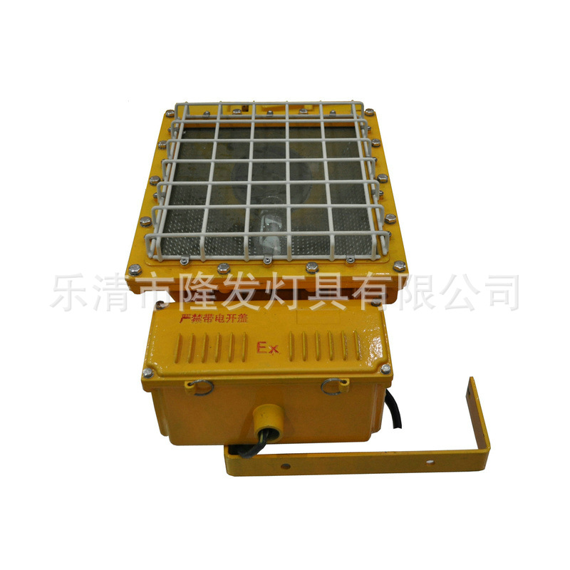 GBT5111-BTC6131厂用防爆泛光灯2