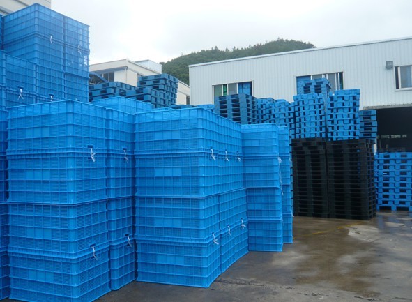 11111111111111111111