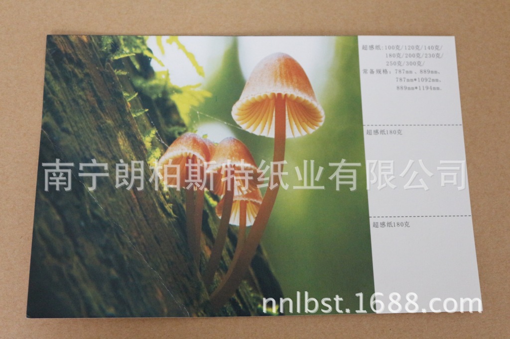 供应印刷原纸/超感纸/印刷超感/高档白卡/轻涂白卡/印刷书刊超感
