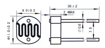 cds-11mm