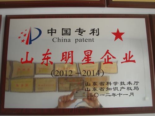 山东明星企业