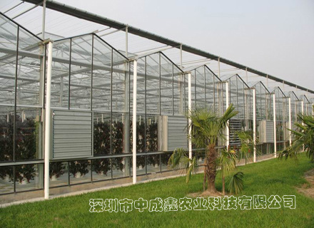文洛型连栋玻璃温室3
