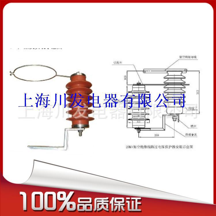 家直销XHQ5-25.4\/72架空线路过电压保护器 图