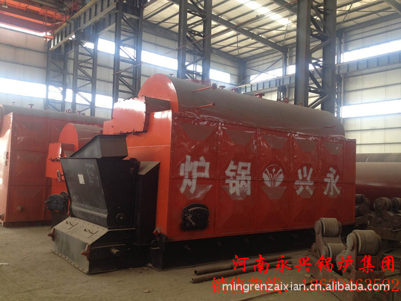 链条蒸汽锅炉12
