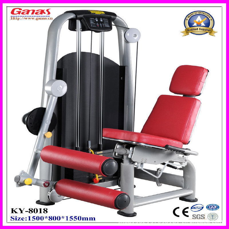 Seated Leg Curl KY-8018