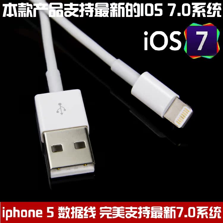 主1 (2)
