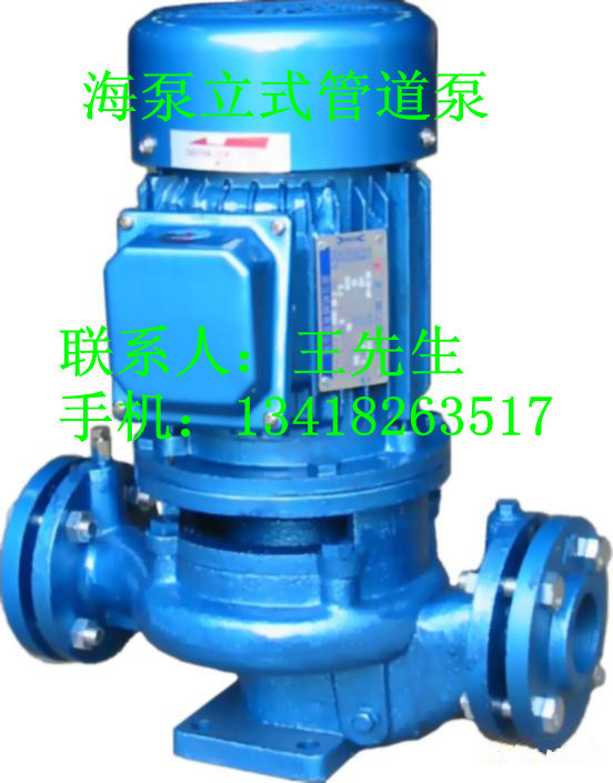 立式泵002