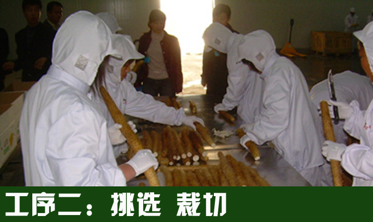 _1163120022__1163031299_03