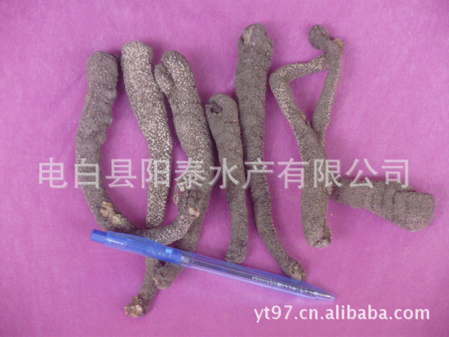 干制水产品-电白县阳泰水产有限公司 大量低价批发各种进口野生海参 品种齐全-干制