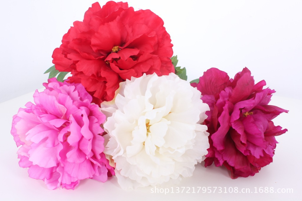 两头牡丹8（2-Head Peony)SJB1248