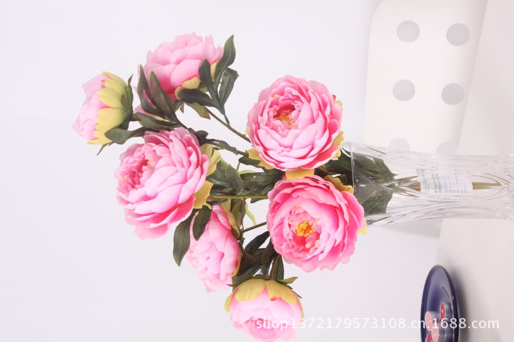 把牡丹2(Peony Bouquet) SJB1244