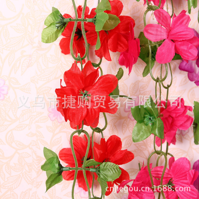 杜鵑 (5)